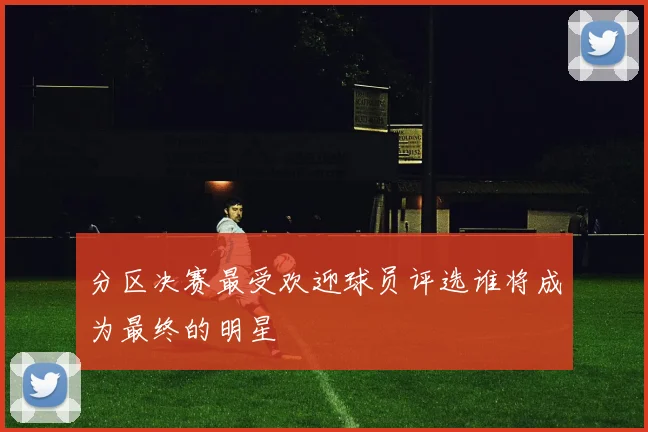 分区决赛最受欢迎球员评选谁将成为最终的明星