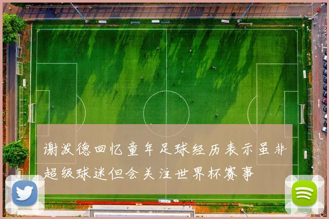 谢泼德回忆童年足球经历表示虽非超级球迷但会关注世界杯赛事
